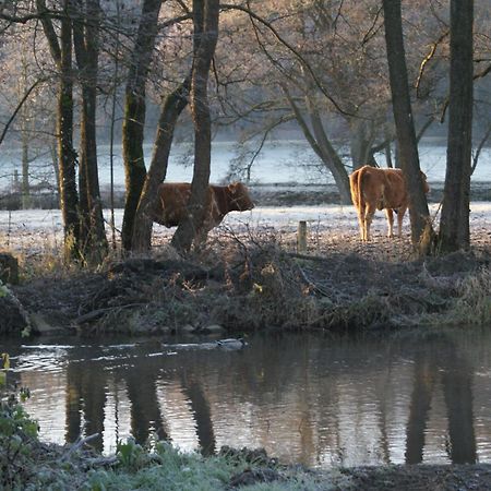 Le Gite De L Ourthe Ortheuville Екстериор снимка