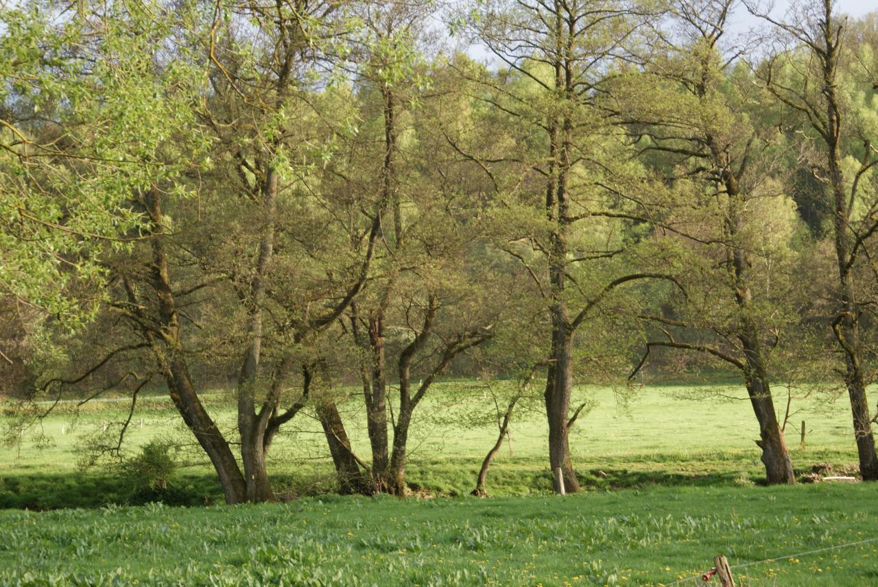 Le Gite De L Ourthe Ortheuville Екстериор снимка